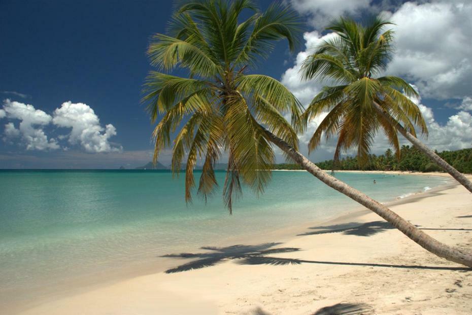 Holidays In Martinique - Ravenala 생트안느 외부 사진