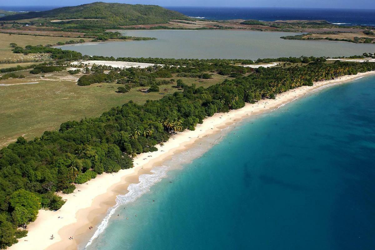 Holidays In Martinique - Ravenala 생트안느 외부 사진