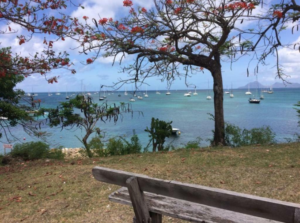 Holidays In Martinique - Ravenala 생트안느 외부 사진