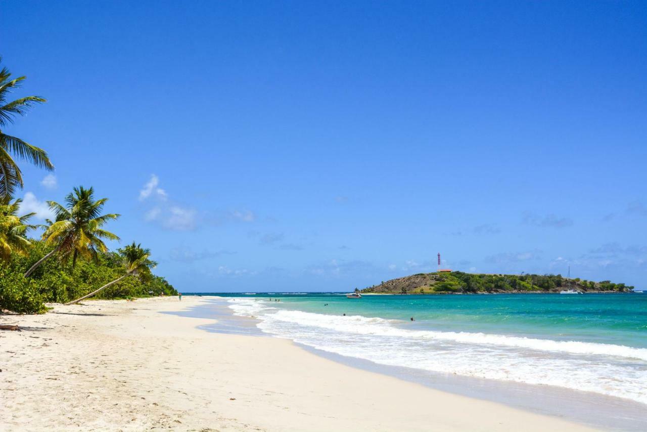 Holidays In Martinique - Ravenala 생트안느 외부 사진
